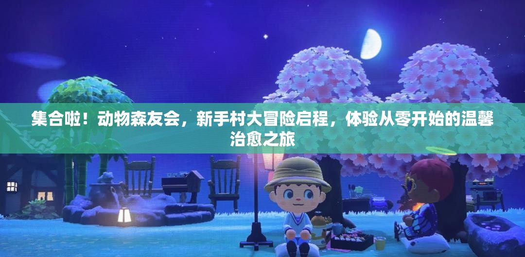 集合啦！动物森友会，新手村大冒险启程，体验从零开始的温馨治愈之旅