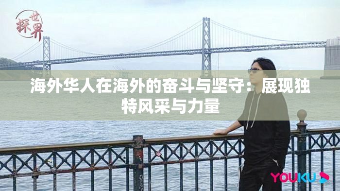 海外华人在海外的奋斗与坚守：展现独特风采与力量