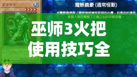巫师3火把使用技巧全解析，资源管理中的策略性智慧之光