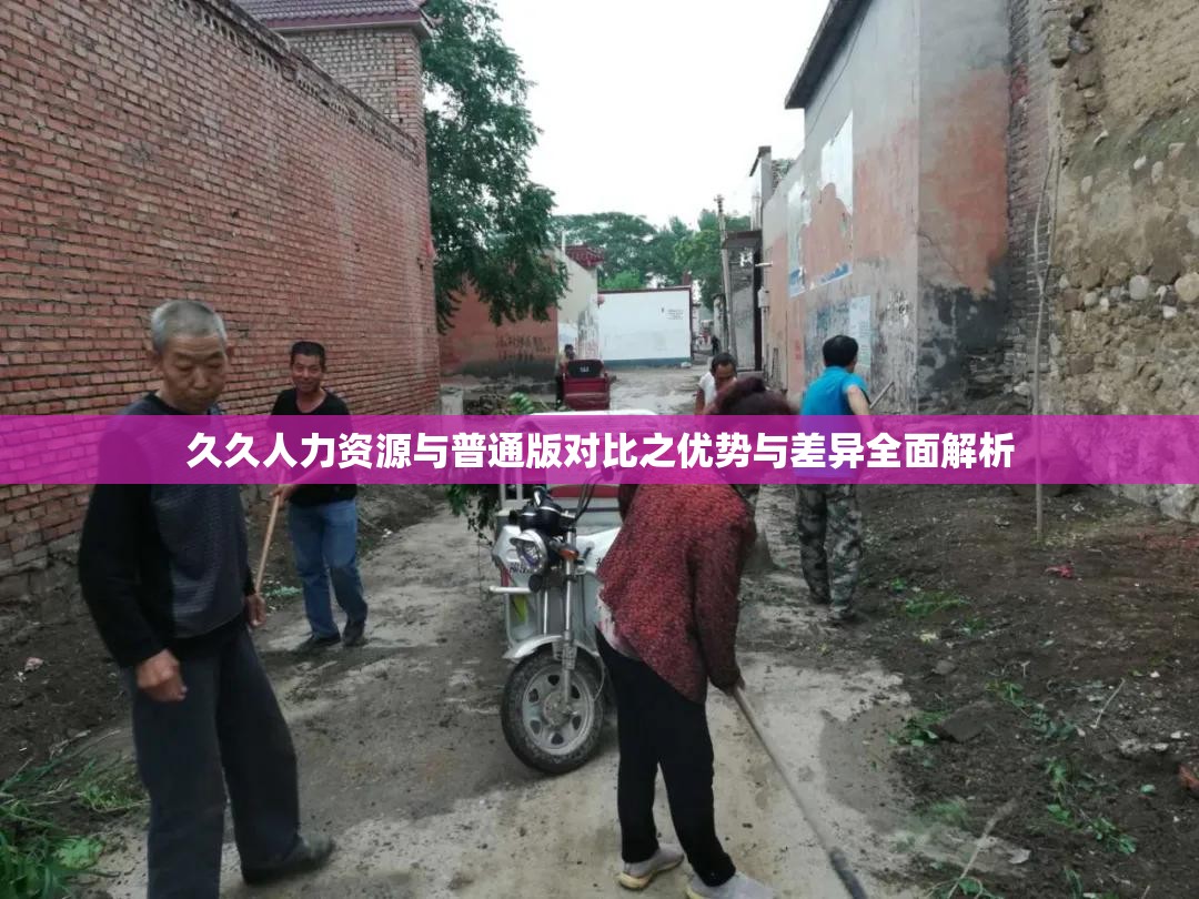 久久人力资源与普通版对比之优势与差异全面解析