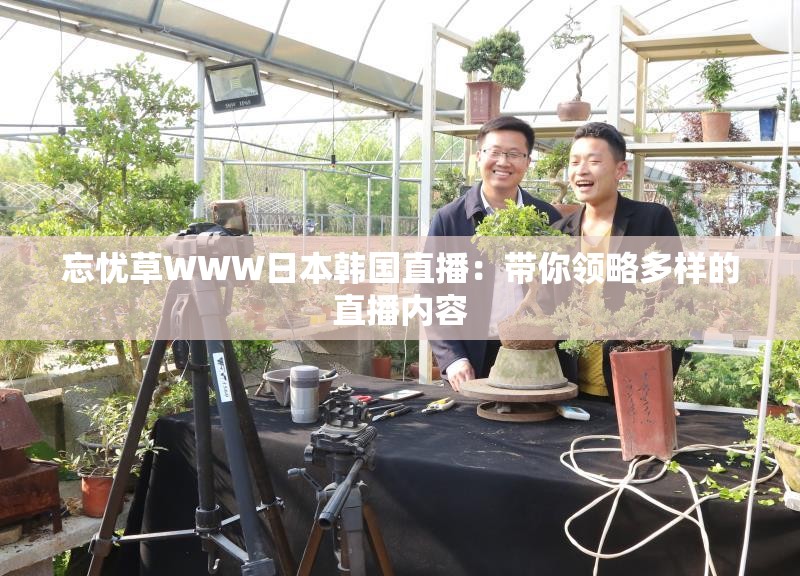 忘忧草WWW日本韩国直播：带你领略多样的直播内容