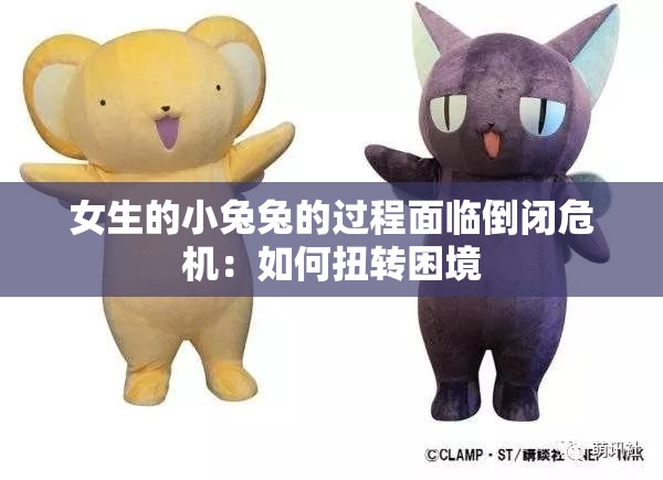 女生的小兔兔的过程面临倒闭危机：如何扭转困境