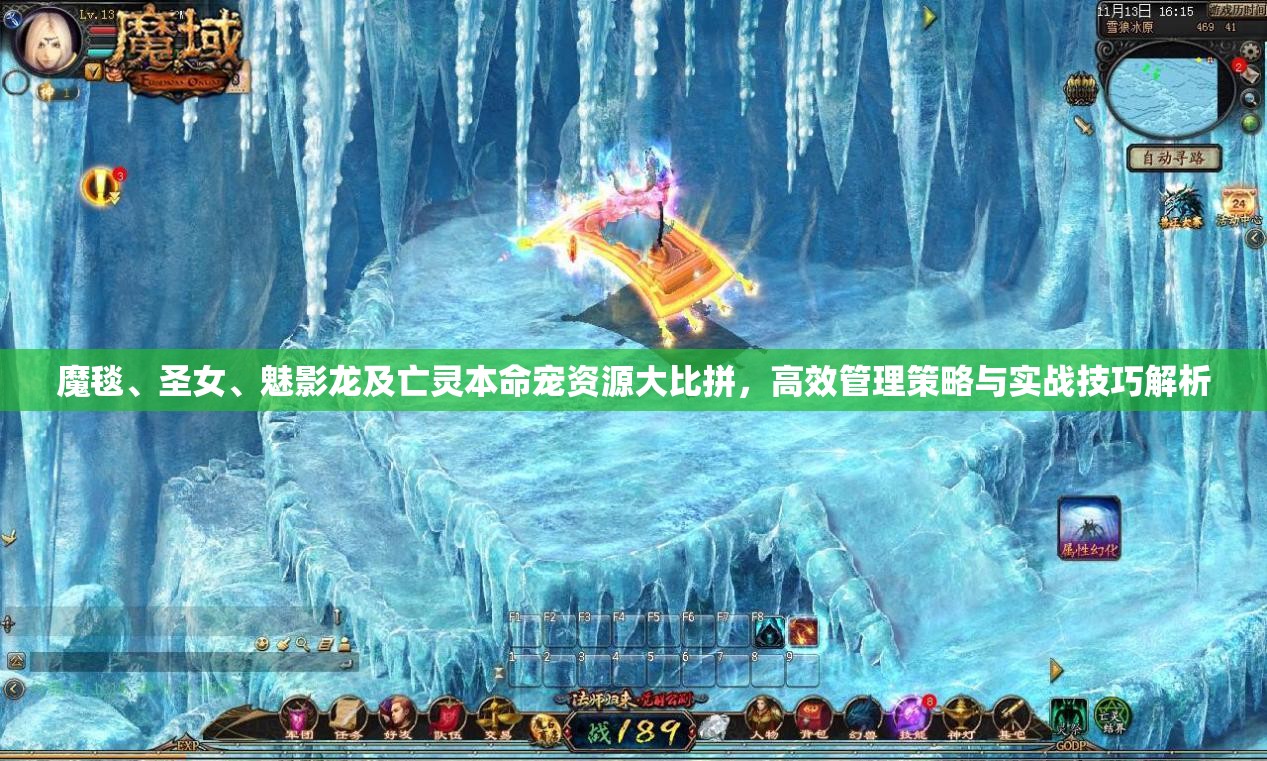 魔毯、圣女、魅影龙及亡灵本命宠资源大比拼，高效管理策略与实战技巧解析