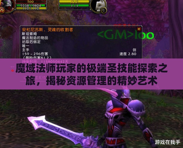魔域法师玩家的极端圣技能探索之旅，揭秘资源管理的精妙艺术