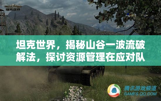 坦克世界，揭秘山谷一波流破解法，探讨资源管理在应对队友对手智商差异中的关键技巧