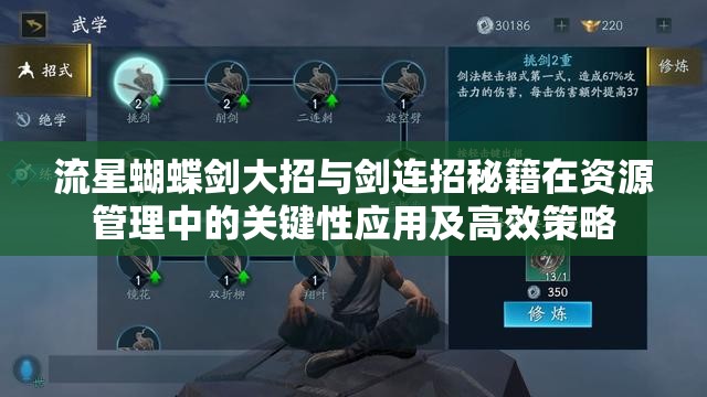 流星蝴蝶剑大招与剑连招秘籍在资源管理中的关键性应用及高效策略