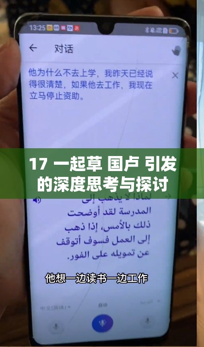 17 一起草 国卢 引发的深度思考与探讨