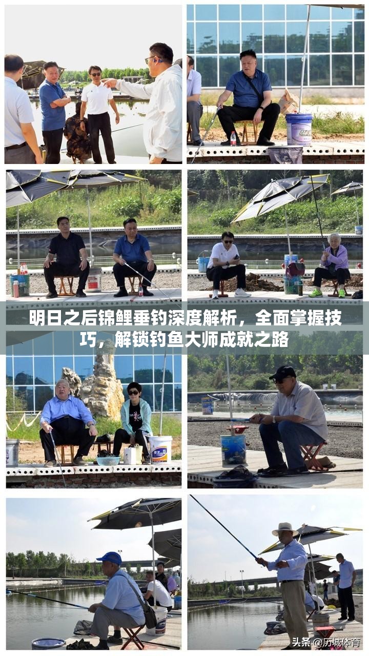 明日之后锦鲤垂钓深度解析，全面掌握技巧，解锁钓鱼大师成就之路