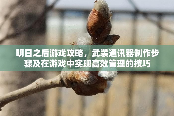 明日之后游戏攻略，武装通讯器制作步骤及在游戏中实现高效管理的技巧