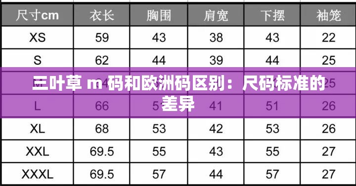 三叶草 m 码和欧洲码区别：尺码标准的差异