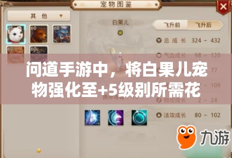 问道手游中，将白果儿宠物强化至+5级别所需花费的全面解析