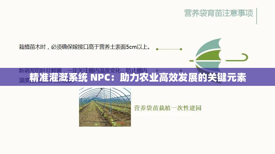 精准灌溉系统 NPC：助力农业高效发展的关键元素