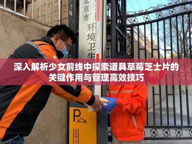 深入解析少女前线中探索道具草莓芝士片的关键作用与管理高效技巧