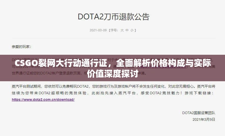 CSGO裂网大行动通行证，全面解析价格构成与实际价值深度探讨