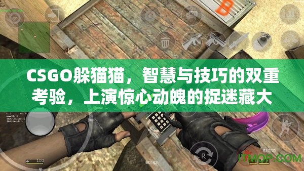 CSGO躲猫猫，智慧与技巧的双重考验，上演惊心动魄的捉迷藏大战