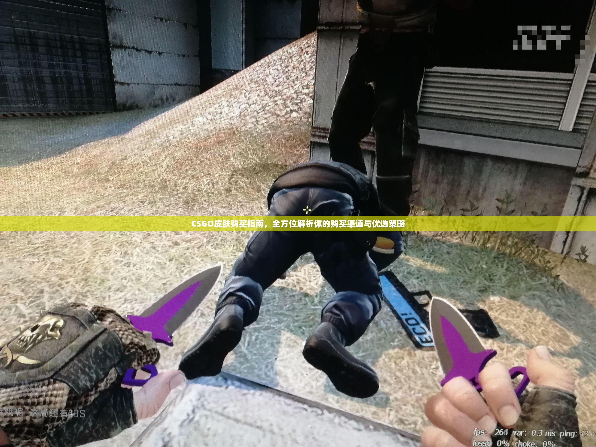 CSGO皮肤购买指南，全方位解析你的购买渠道与优选策略