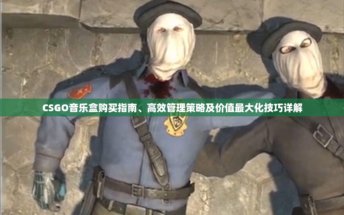 CSGO音乐盒购买指南、高效管理策略及价值最大化技巧详解