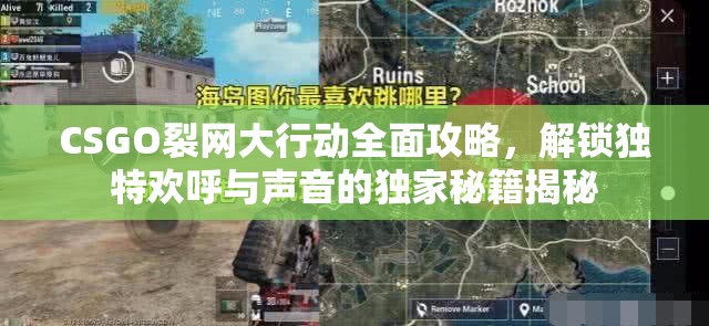 CSGO裂网大行动全面攻略，解锁独特欢呼与声音的独家秘籍揭秘