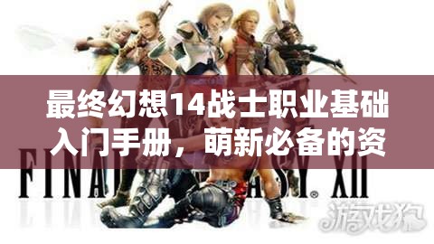 最终幻想14战士职业基础入门手册，萌新必备的资源管理艺术与攻略指南
