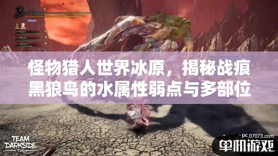 怪物猎人世界冰原，揭秘战痕黑狼鸟的水属性弱点与多部位可破坏攻略