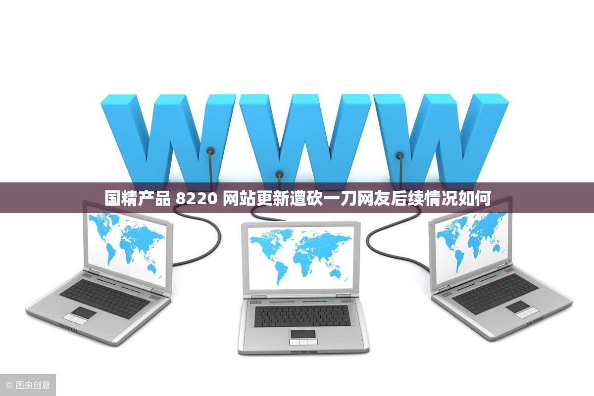 国精产品 8220 网站更新遭砍一刀网友后续情况如何
