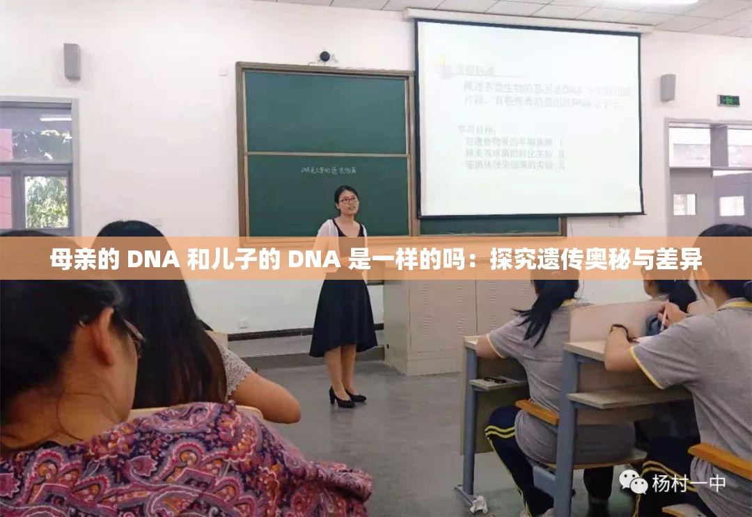 母亲的 DNA 和儿子的 DNA 是一样的吗：探究遗传奥秘与差异