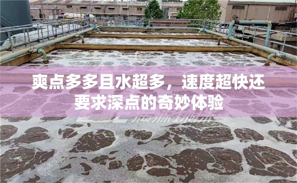 爽点多多且水超多，速度超快还要求深点的奇妙体验