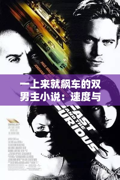 一上来就飙车的双男主小说：速度与激情下的兄弟羁绊