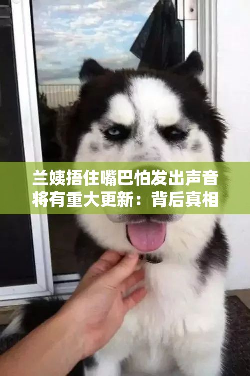 兰姨捂住嘴巴怕发出声音将有重大更新：背后真相令人震惊