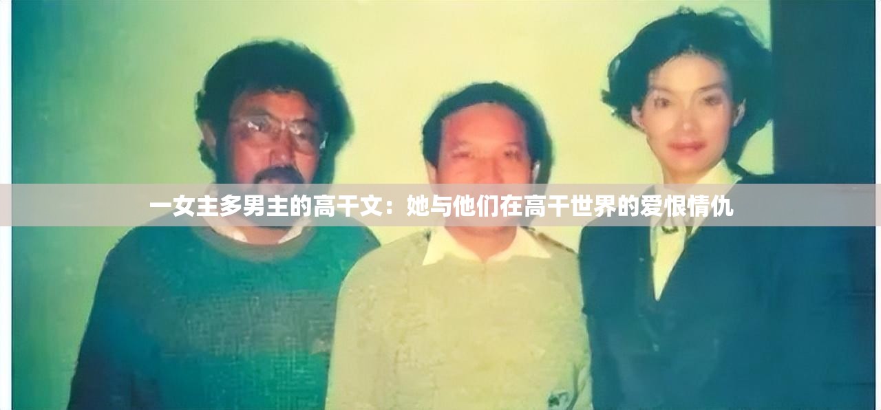 一女主多男主的高干文：她与他们在高干世界的爱恨情仇