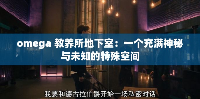 omega 教养所地下室：一个充满神秘与未知的特殊空间