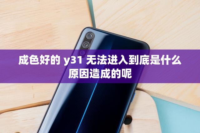 成色好的 y31 无法进入到底是什么原因造成的呢