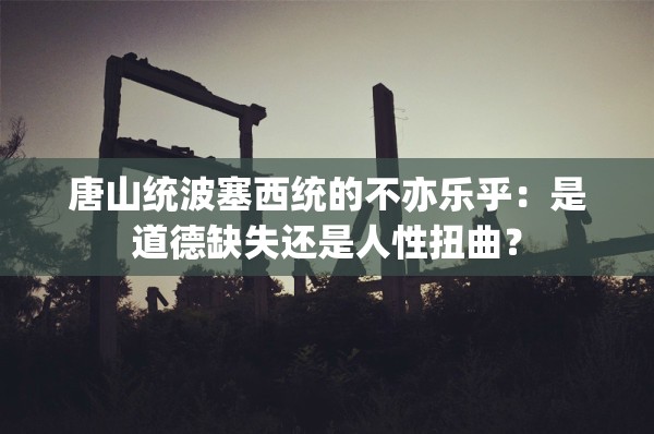 唐山统波塞西统的不亦乐乎：是道德缺失还是人性扭曲？