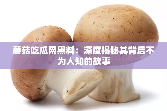 蘑菇吃瓜网黑料：深度揭秘其背后不为人知的故事