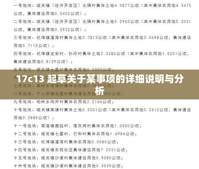 17c13 起草关于某事项的详细说明与分析