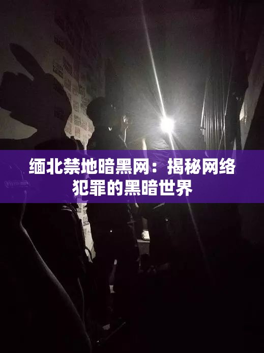 缅北禁地暗黑网：揭秘网络犯罪的黑暗世界