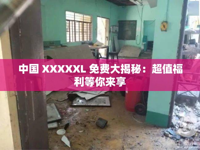 中国 XXXXXL 免费大揭秘：超值福利等你来享