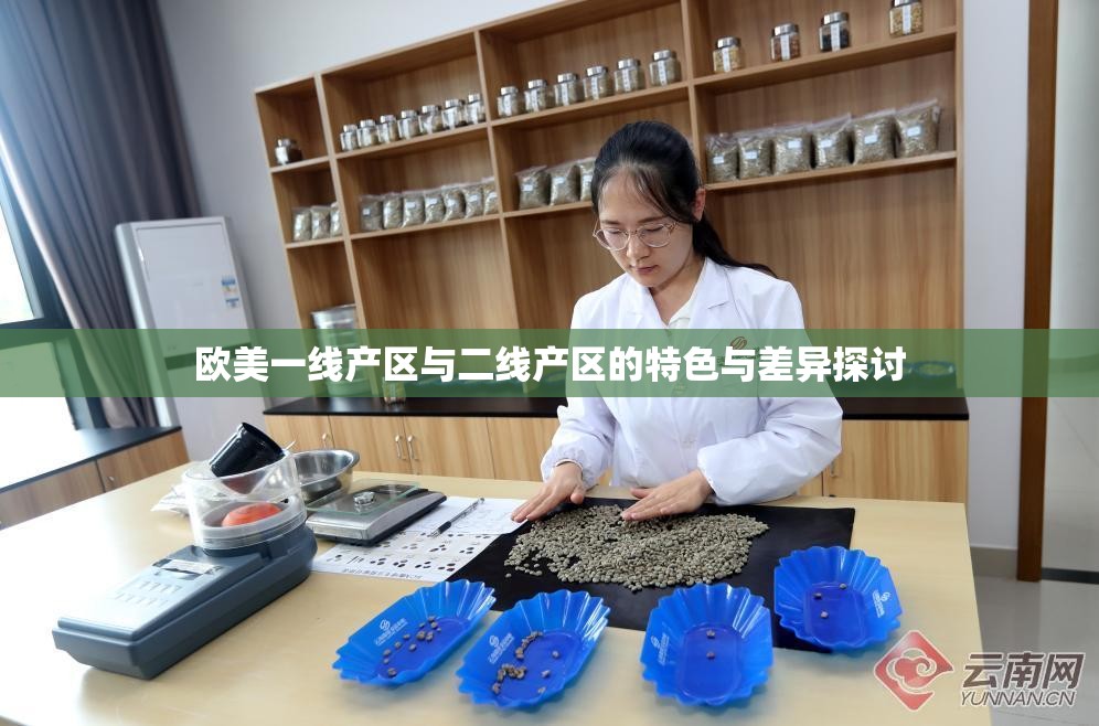 欧美一线产区与二线产区的特色与差异探讨