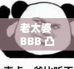 老太婆 BBB 凸姓交允：一段引人入胜的故事