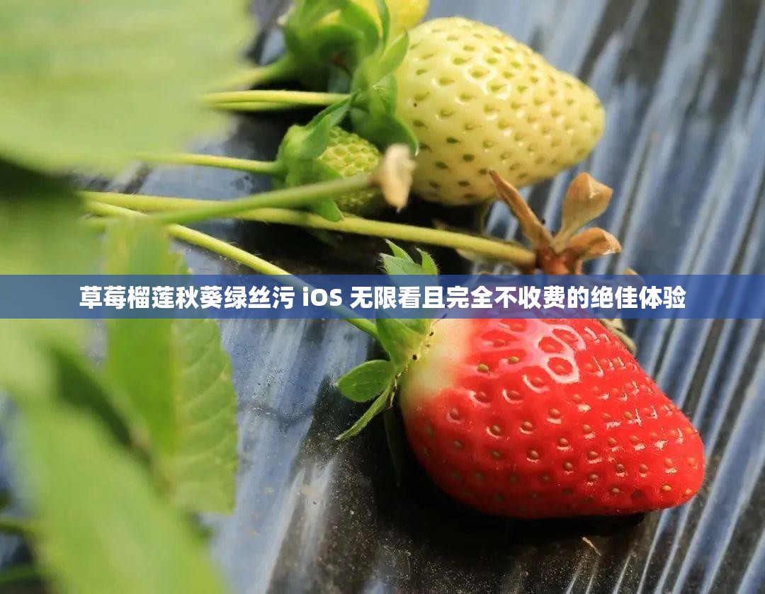 草莓榴莲秋葵绿丝污 iOS 无限看且完全不收费的绝佳体验