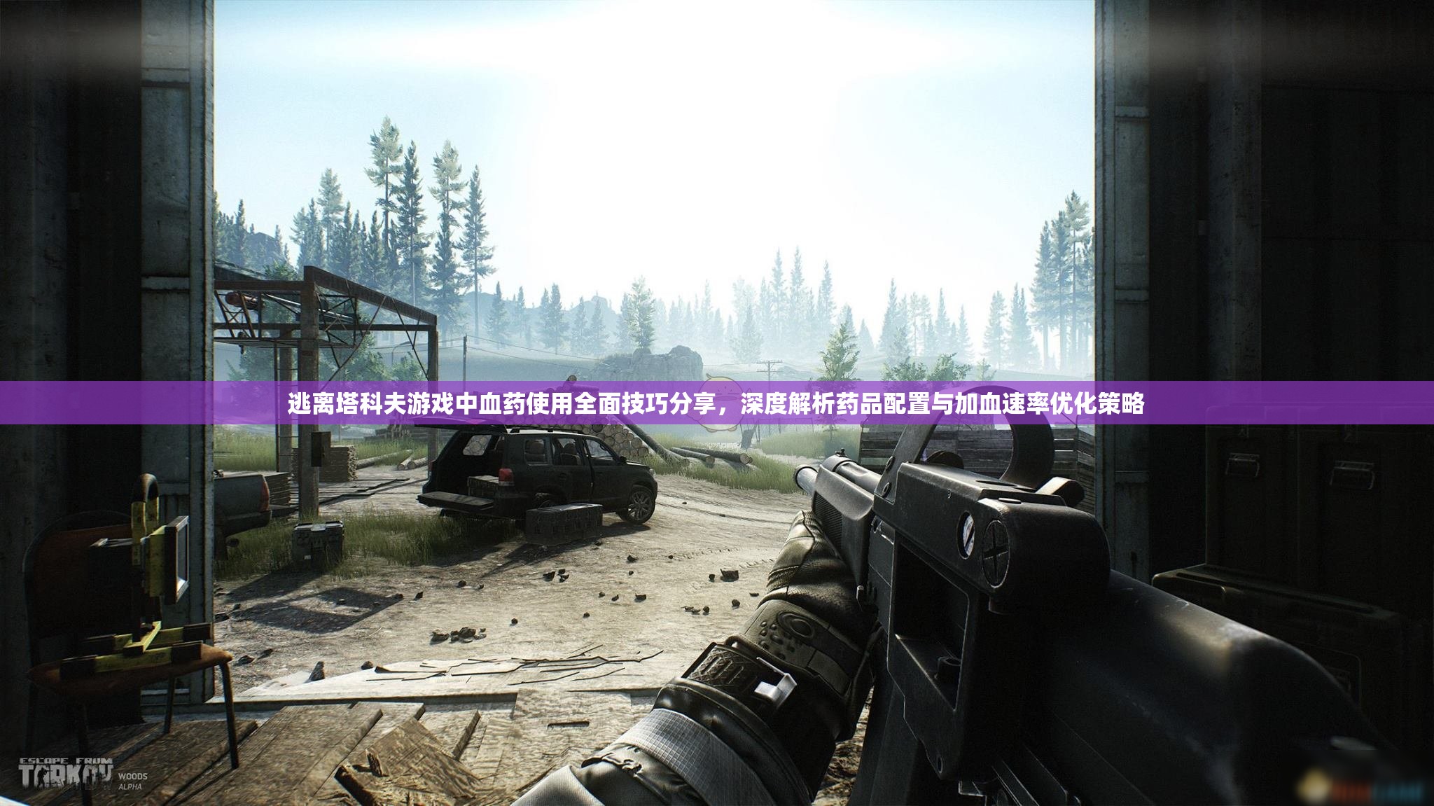 逃离塔科夫游戏中血药使用全面技巧分享，深度解析药品配置与加血速率优化策略