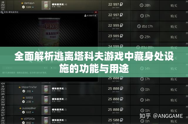 全面解析逃离塔科夫游戏中藏身处设施的功能与用途