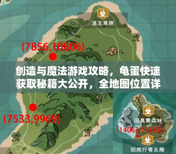 创造与魔法游戏攻略，龟蛋快速获取秘籍大公开，全地图位置详细揭秘