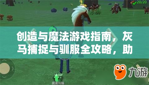 创造与魔法游戏指南，灰马捕捉与驯服全攻略，助你获得首匹个性坐骑