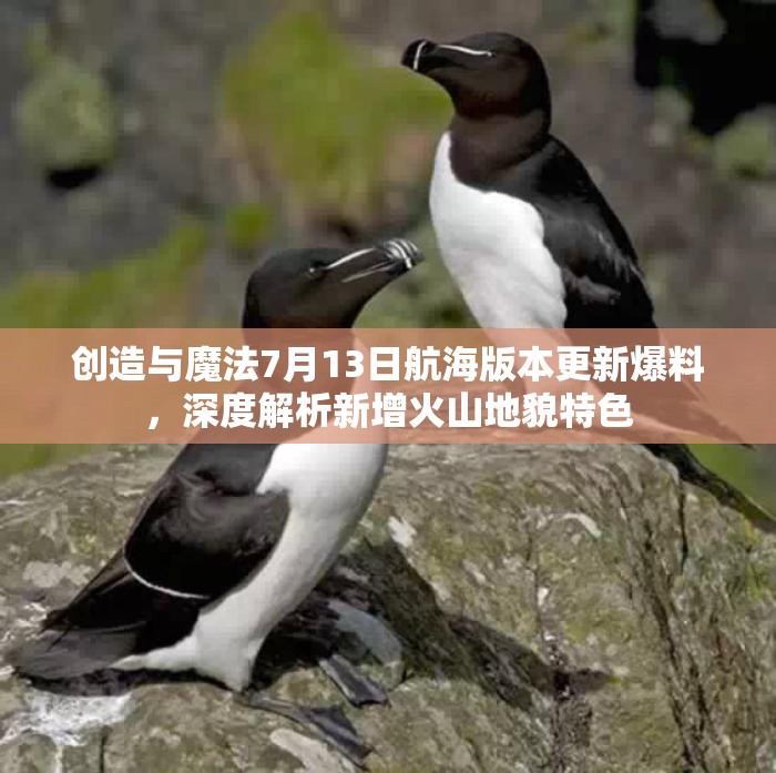 创造与魔法7月13日航海版本更新爆料，深度解析新增火山地貌特色