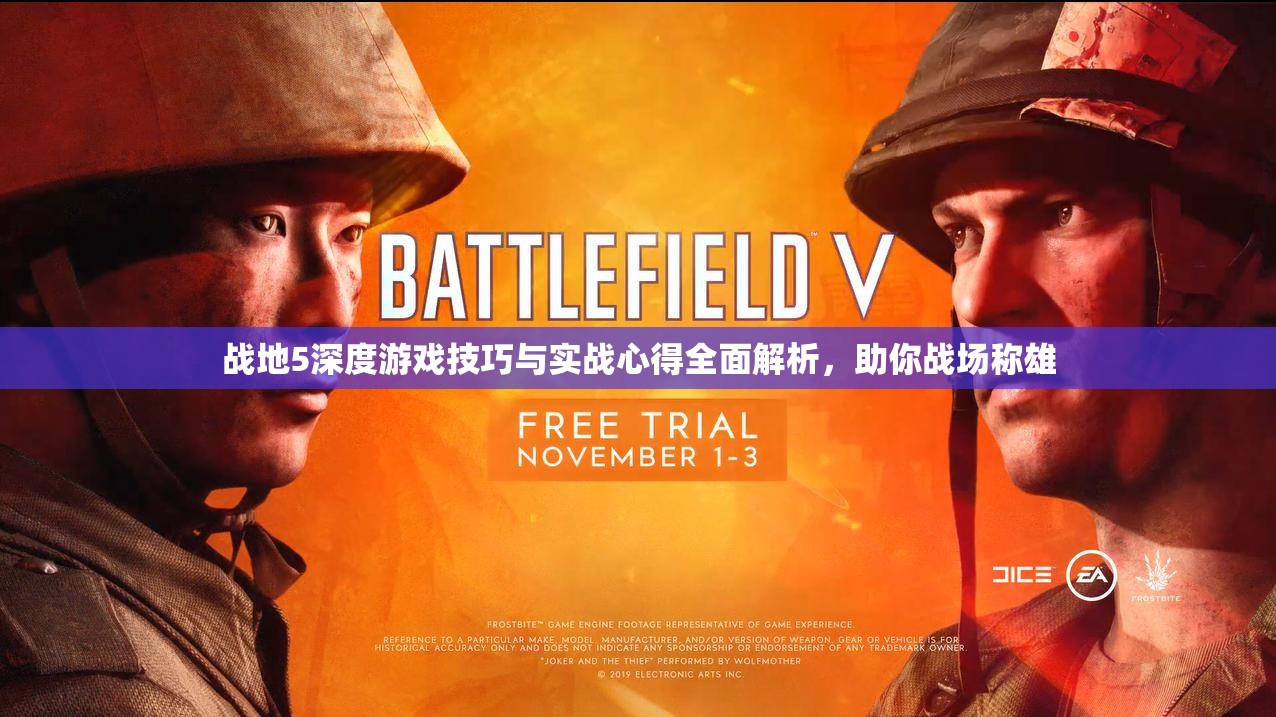 战地5深度游戏技巧与实战心得全面解析，助你战场称雄