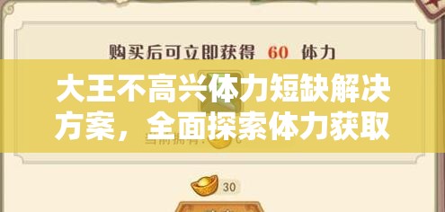 大王不高兴体力短缺解决方案，全面探索体力获取途径在资源管理中的关键性策略