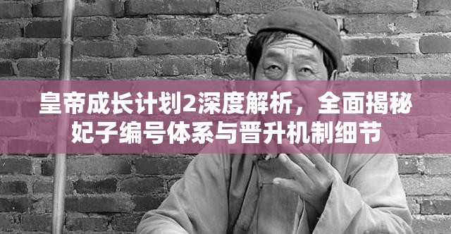 皇帝成长计划2深度解析，全面揭秘妃子编号体系与晋升机制细节