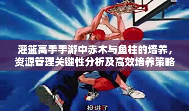 灌篮高手手游中赤木与鱼柱的培养，资源管理关键性分析及高效培养策略