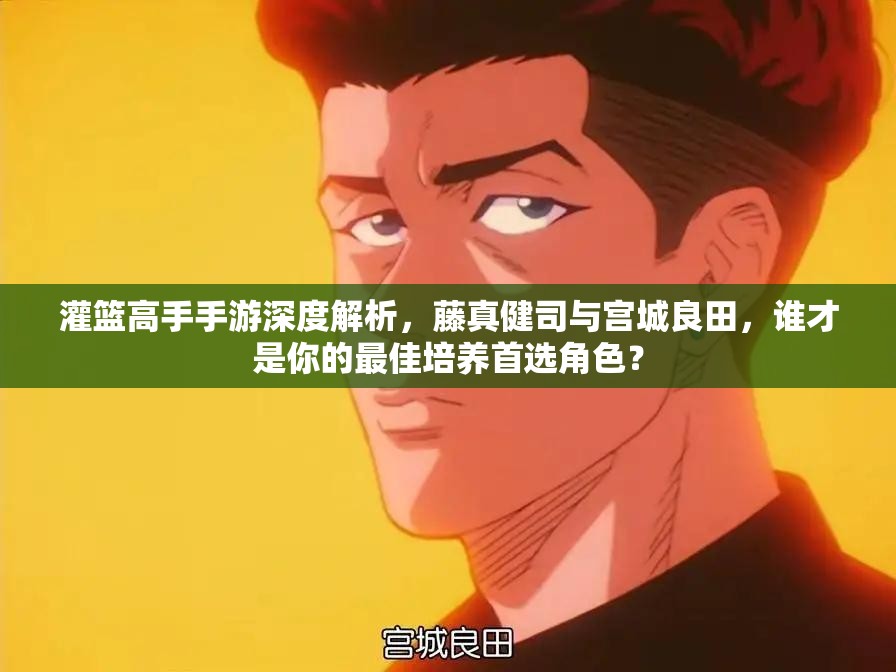 灌篮高手手游深度解析，藤真健司与宫城良田，谁才是你的最佳培养首选角色？